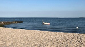 Ein Strand mit einem Boot vor Anker in der Nähe des Ufers und einem Schwan im Wasser.