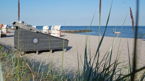 Ein Strand mit einer überdachten Sitzgelegenheit, einem Boot im Wasser und wolkenlosem Himmel.
