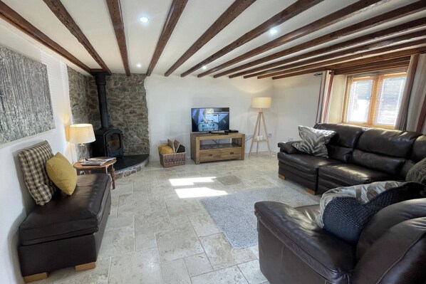 Televisión de 30 pulgadas con canales por cable y chimenea