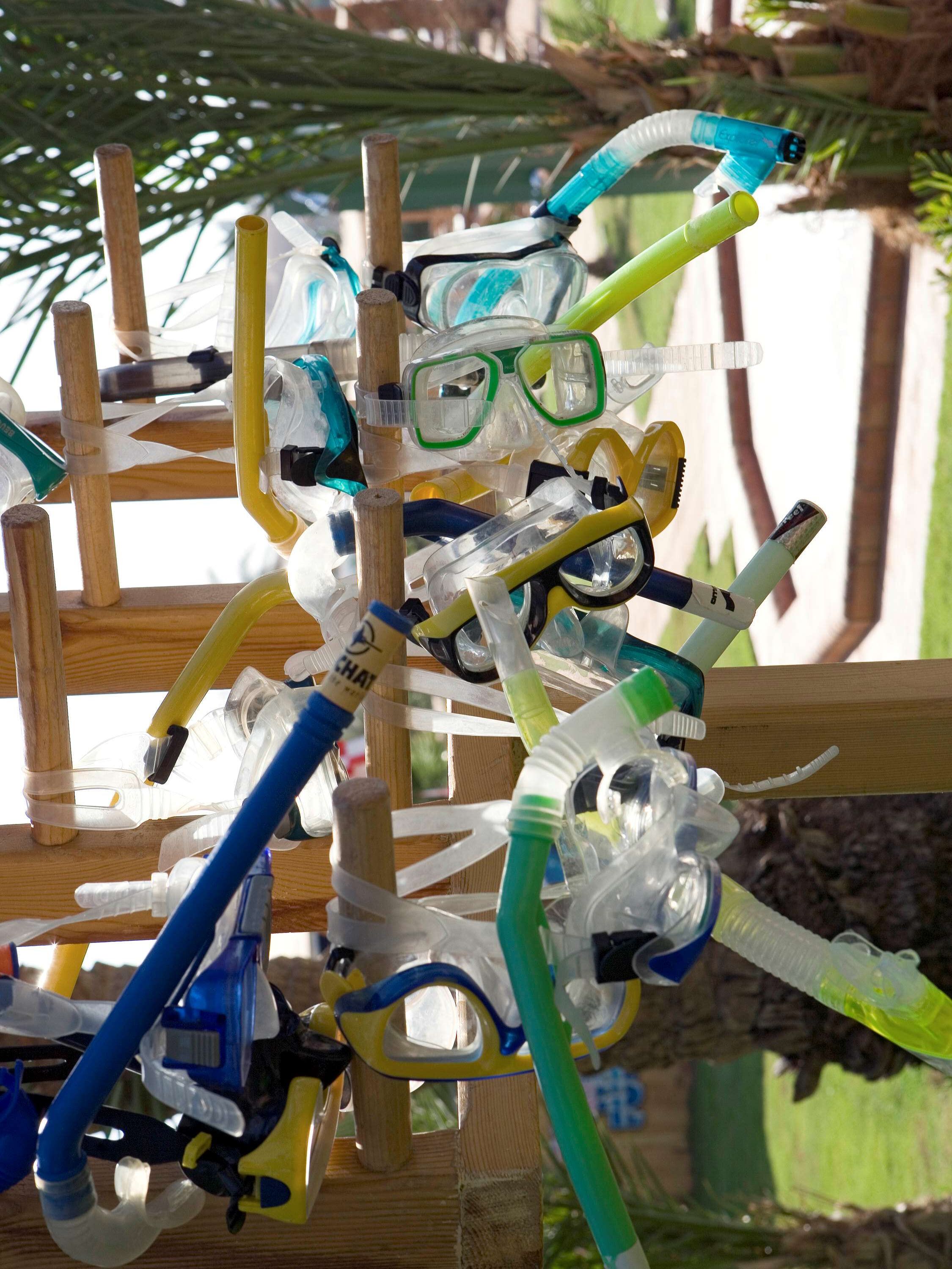 A collection of snorkels and diving masks hanging on a wooden structure.