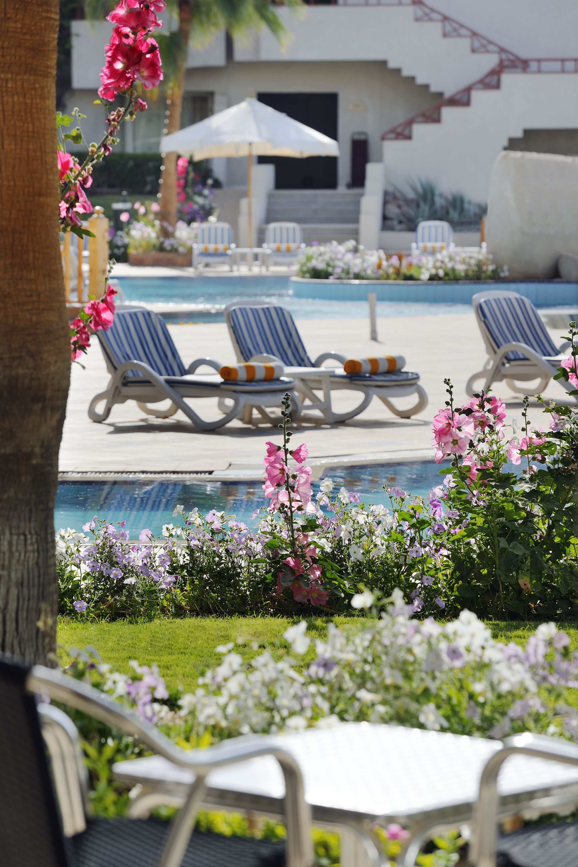 A poolside area with lounge chairs, a pool, and a staircase leading to a building.