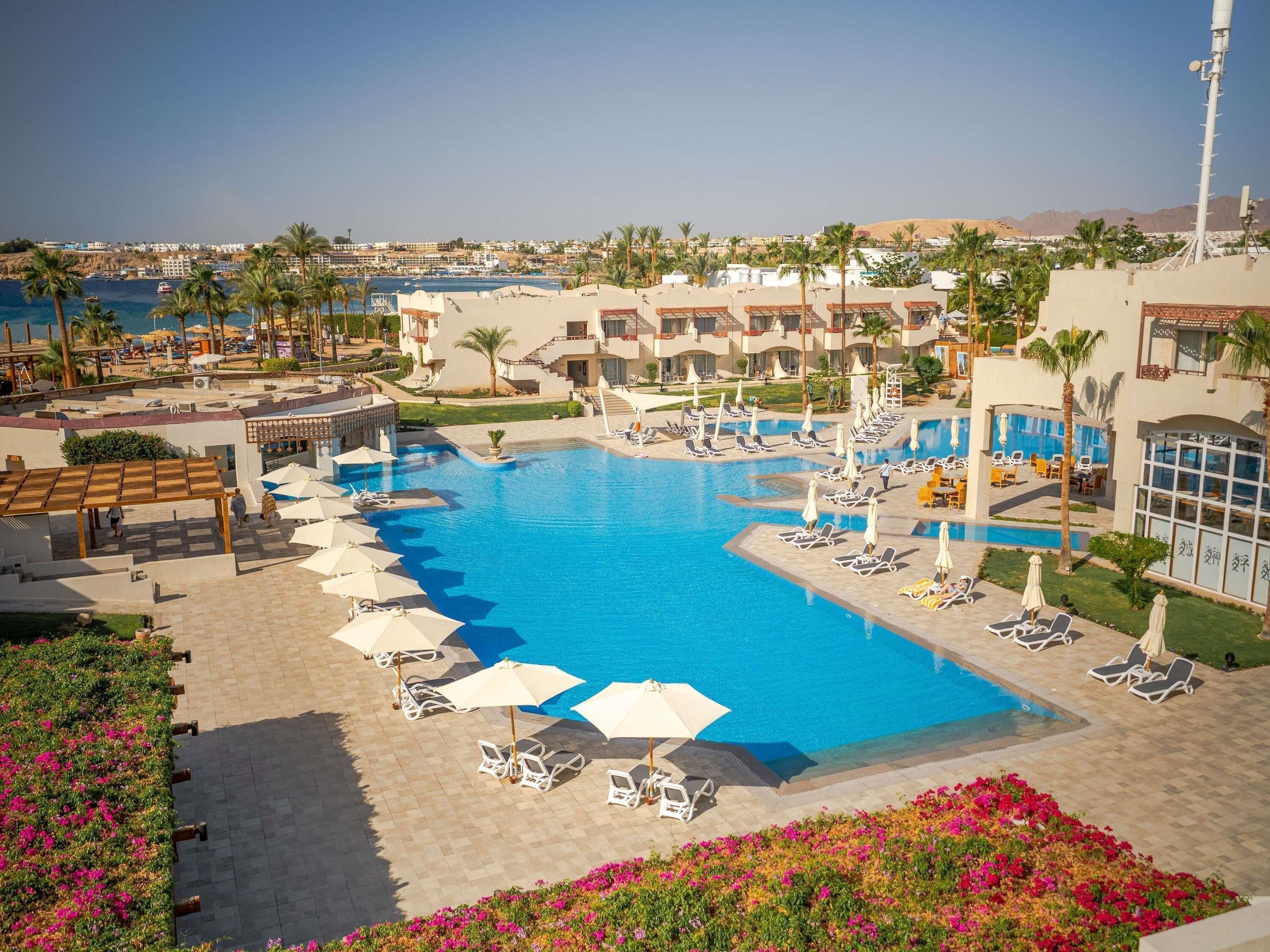 A resort with a large swimming pool, sun loungers, and palm trees.