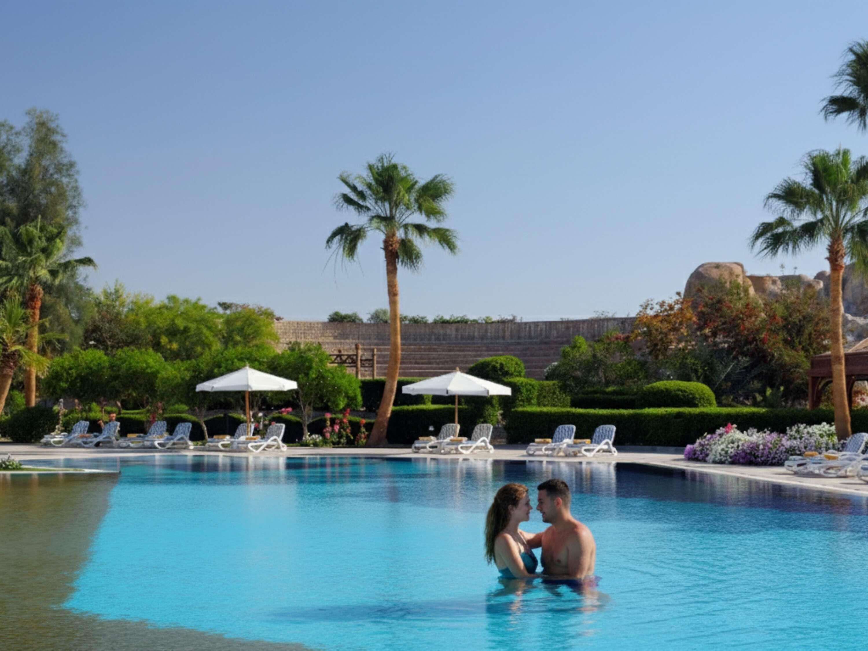 A swimming pool with lounge chairs and umbrellas, surrounded by palm trees and greenery.