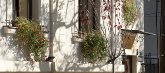 Boutique Pensiunea Park