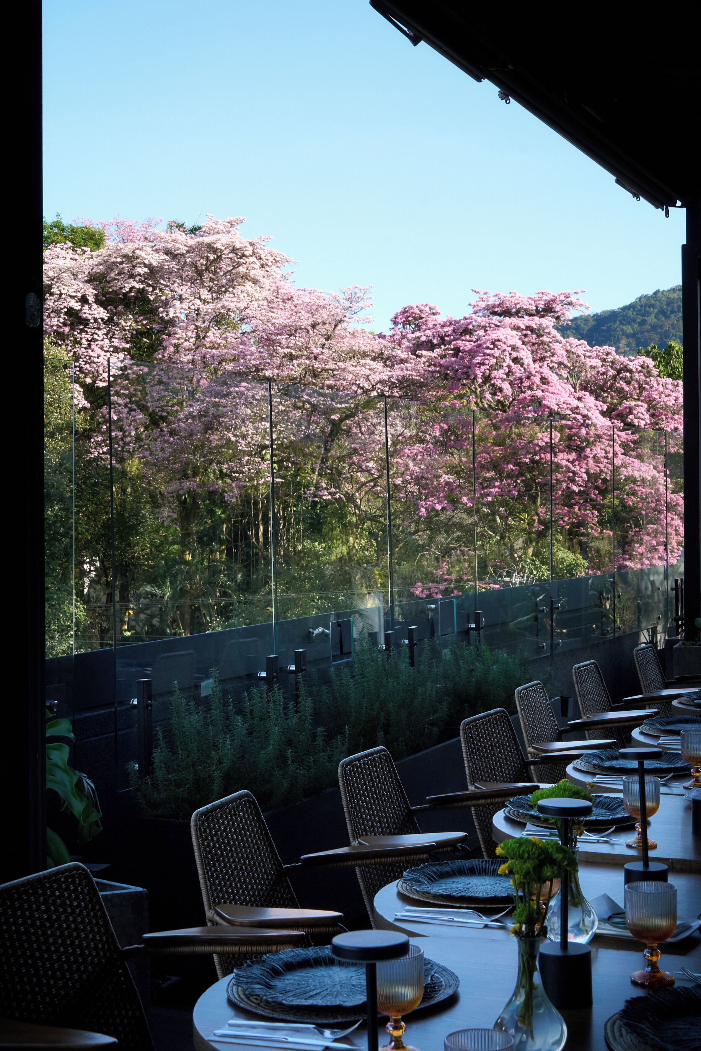 Un comedor con vistas a los cerezos en flor, mesas dispuestas con platos, vasos y cubiertos.