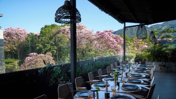 A long dining table set for a meal with chairs, plates, and glasses, overlooking a garden with pink flowering trees. - FR Hotel (Ibagué)