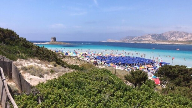 A beach with a clear view of the sea, a tower in the distance, and a line of trees in the foreground. - Villa Camilla private garden and pool. 30% DISCOUNT, PERIOD 24 MAY - 7 JUNE (Punta de Su Turrione Stintino ( SS))