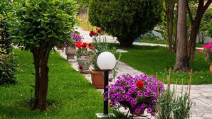 A garden pathway with various plants and flowers, a lamp post, and a tree. - Sunny Garden (Lefkada)