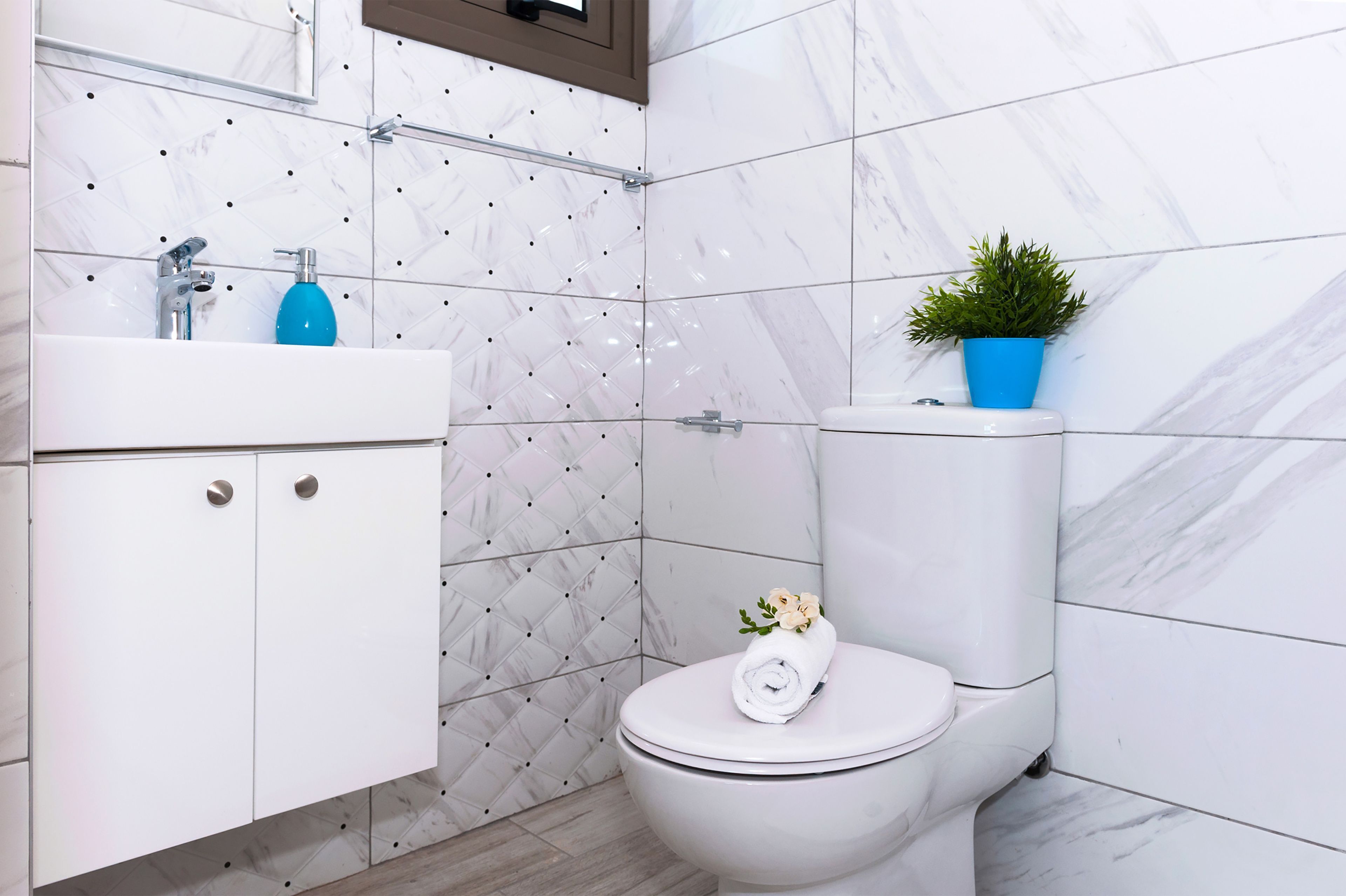 Een badkamer met een wit toilet, een wastafel met een blauwe zeepdispenser en een potplant op de tank van het toilet.