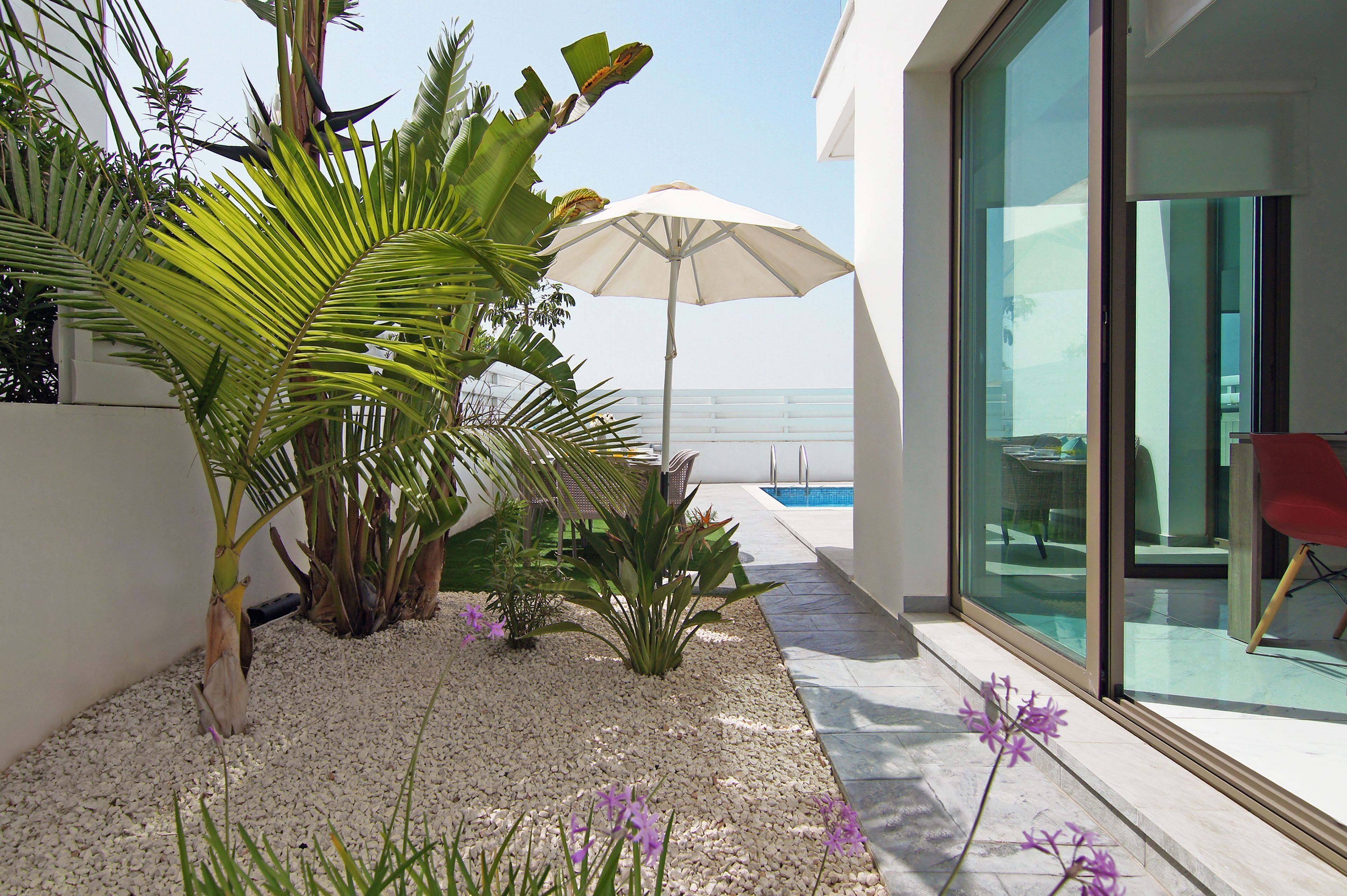 Un patio moderno al aire libre con piscina, palmeras y una silla roja.