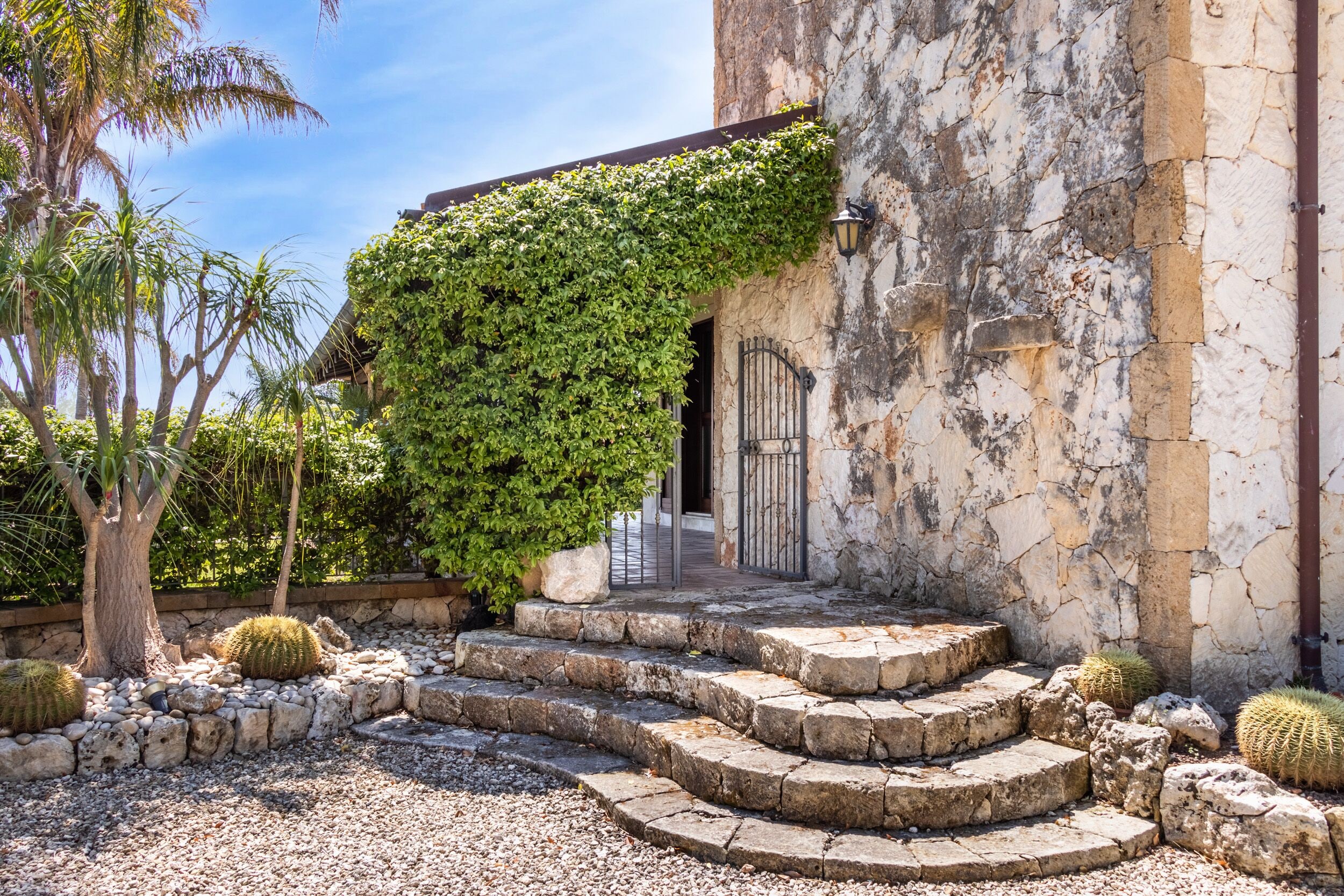 A stone staircase leading to a door, surrounded by cacti and a palm tree.