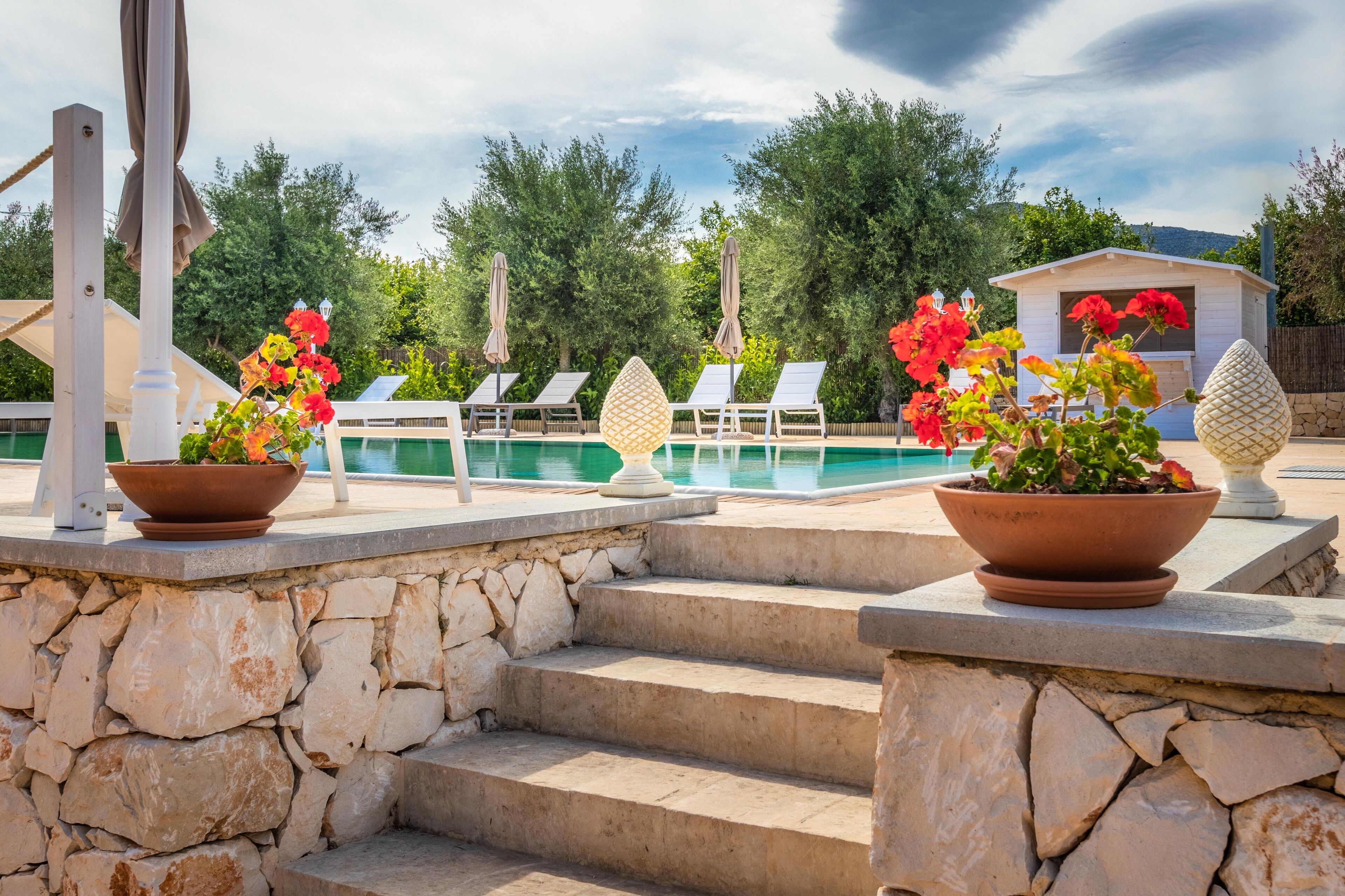 Terraza o patio