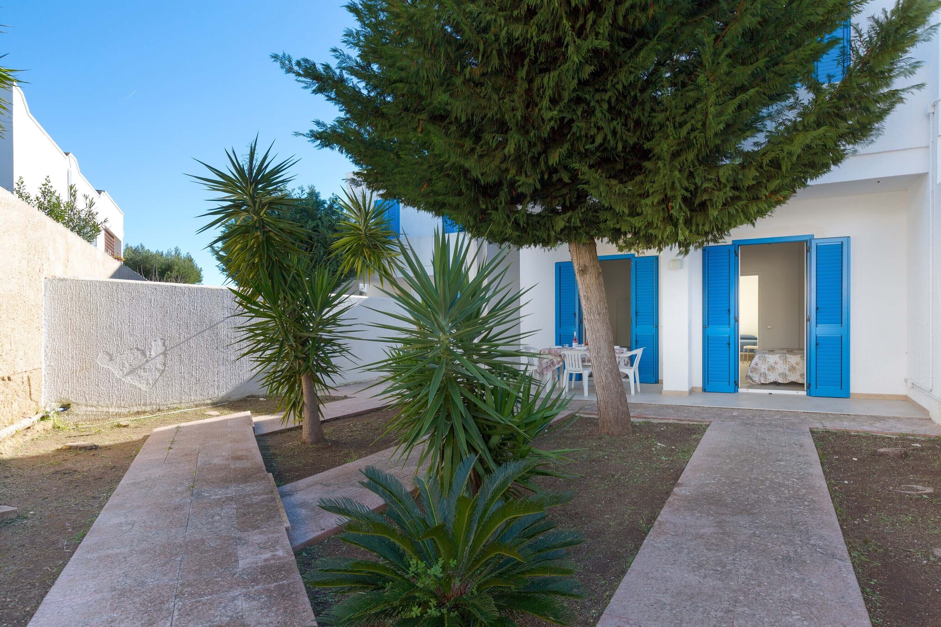 A courtyard with a white building, blue shutters, and a palm tree.