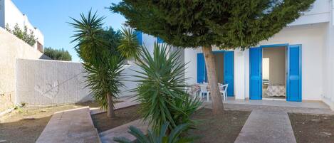A courtyard with a white building, blue shutters, and a palm tree.