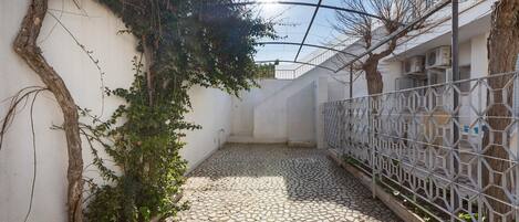 A narrow courtyard with a cobblestone floor, a white wall with climbing vines, and a metal fence.