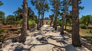 A pathway lined with tall trees leading to a building with a red roof. - Villa Thea Charming House (Carovigno)