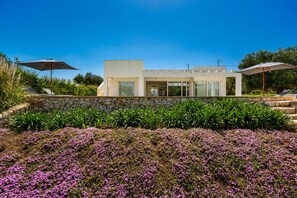 A modern house with a stone wall, large windows, and a garden with purple flowers. - Villa Zena (Carovigno)