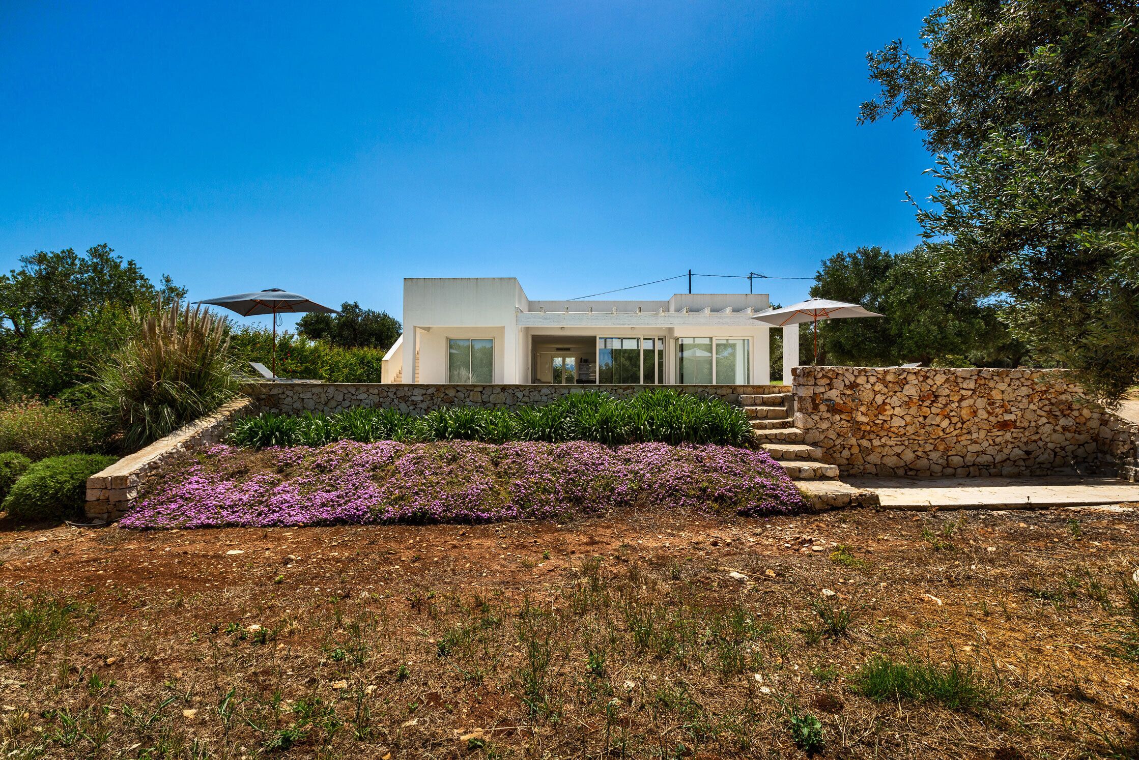 Une maison moderne avec un mur en pierre et un jardin agrémenté de fleurs violettes.