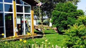 A house with a large glass window, a wooden deck, and a garden with ferns and yellow flowers. - Landhaus Chlosta (Biendorf)