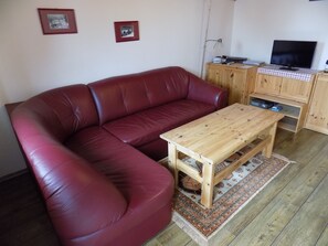 Smart TV - Love beautful nature in green Pohorje,  Apartma Zeleni dragulj, Slovenia (Oplotnica)