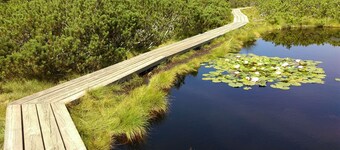 Elsker vakker natur i det grønne Pohorje, Apartma Zeleni dragulj, Slovenia