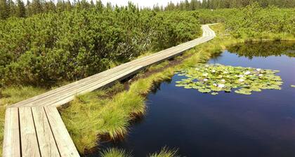 Love beautful nature in green Pohorje, Apartma Zeleni dragulj, Slovenia