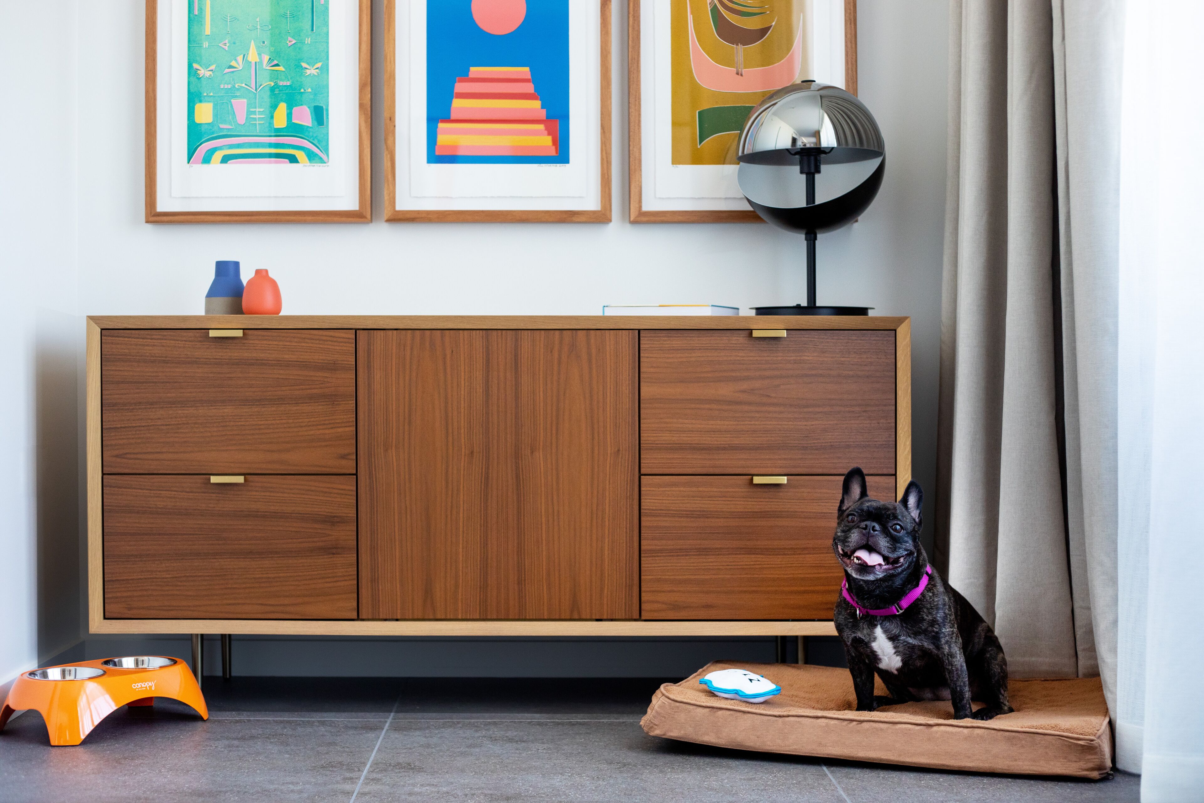 studio, 1 king bed, accessible (roll-in shower) | pet-friendly amenities