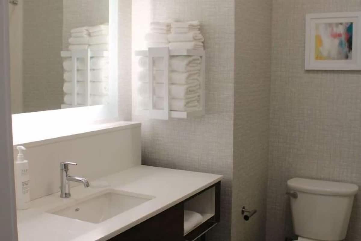 Combined shower/bathtub, free toiletries, hair dryer, towels