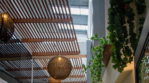 A spacious indoor garden with artificial grass, various potted plants, and hanging spherical light fixtures. - Murano Hotel (Moyobamba)