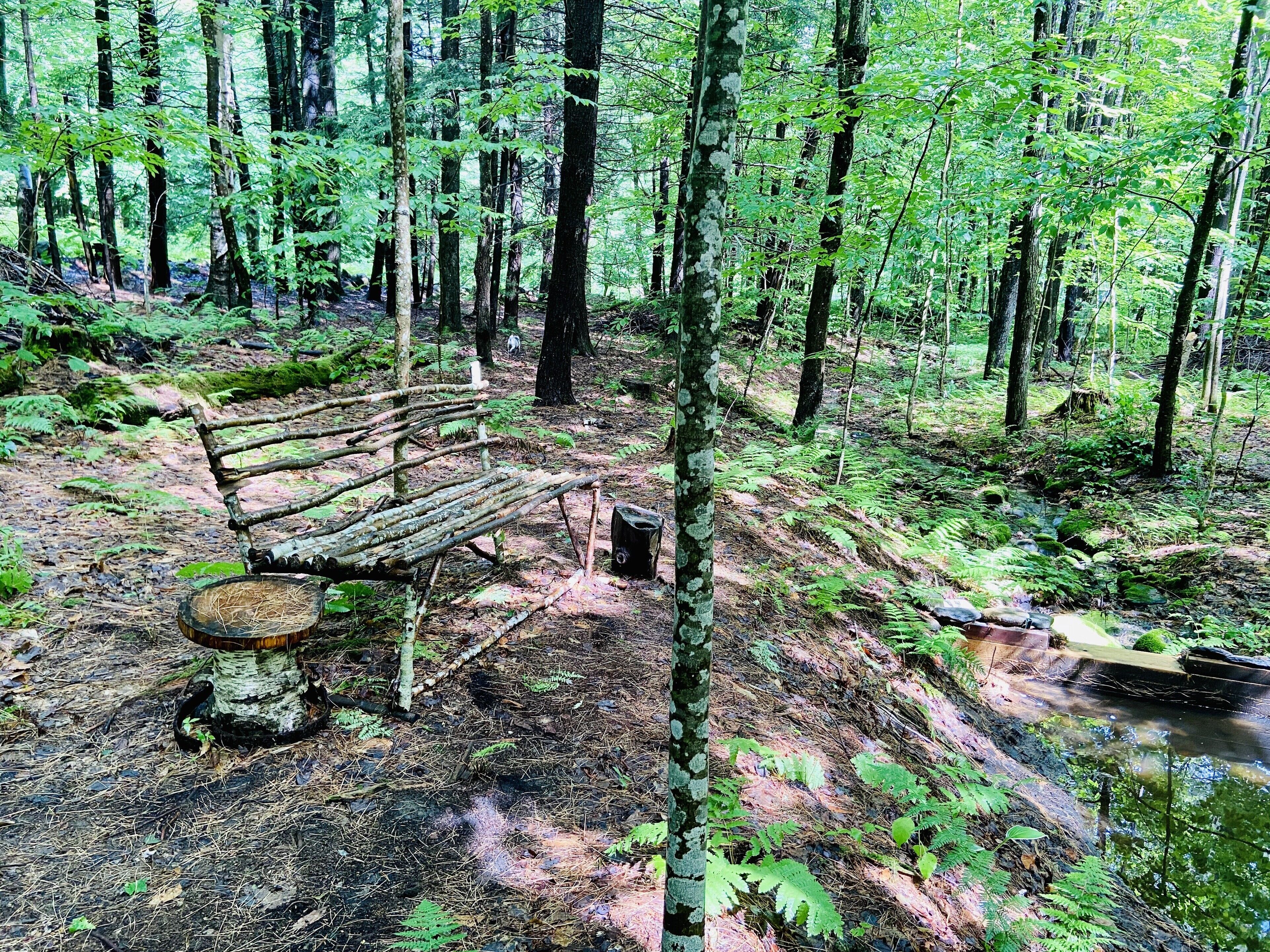 Terrain de l’hébergement 