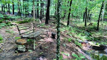 Terrain de l’hébergement