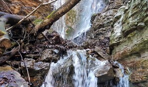 Exterior - A small house surrounded by greenery but not far from Trento and Garda  (VALLENE)