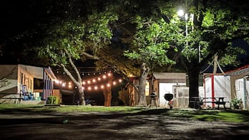 An outdoor area with string lights, a barbecue grill, and a picnic table under a large tree.