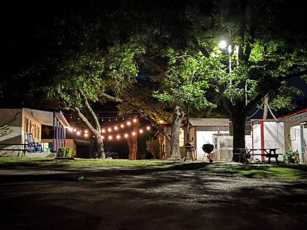 An outdoor area with string lights, a barbecue grill, and a picnic table under a large tree.