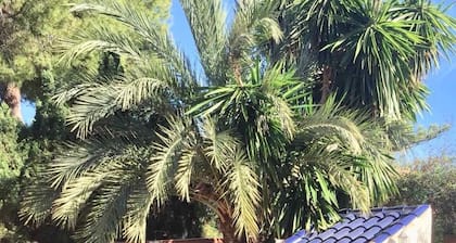 Chalet (Playa Muchavista)