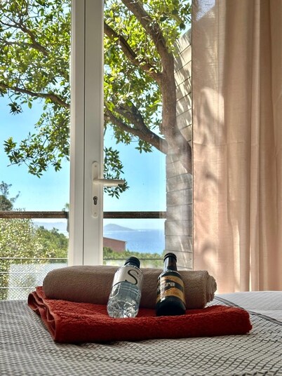 F2 in Rupione exceptional sea view / 5 mn walk and 15 mn from porticcio