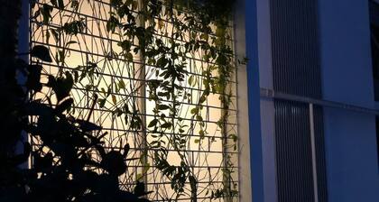 CASA INGENIO Deep Inside Los Mochis