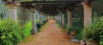 CASA INGENIO Deep Inside Los Mochis