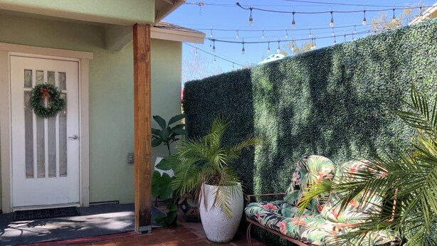A patio with a white door, a bench with tropical cushions, and a large potted plant. - Cozy Private Casita (Tucson)