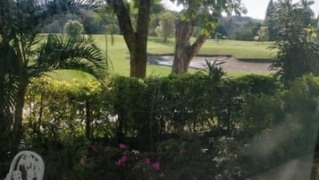 Taman