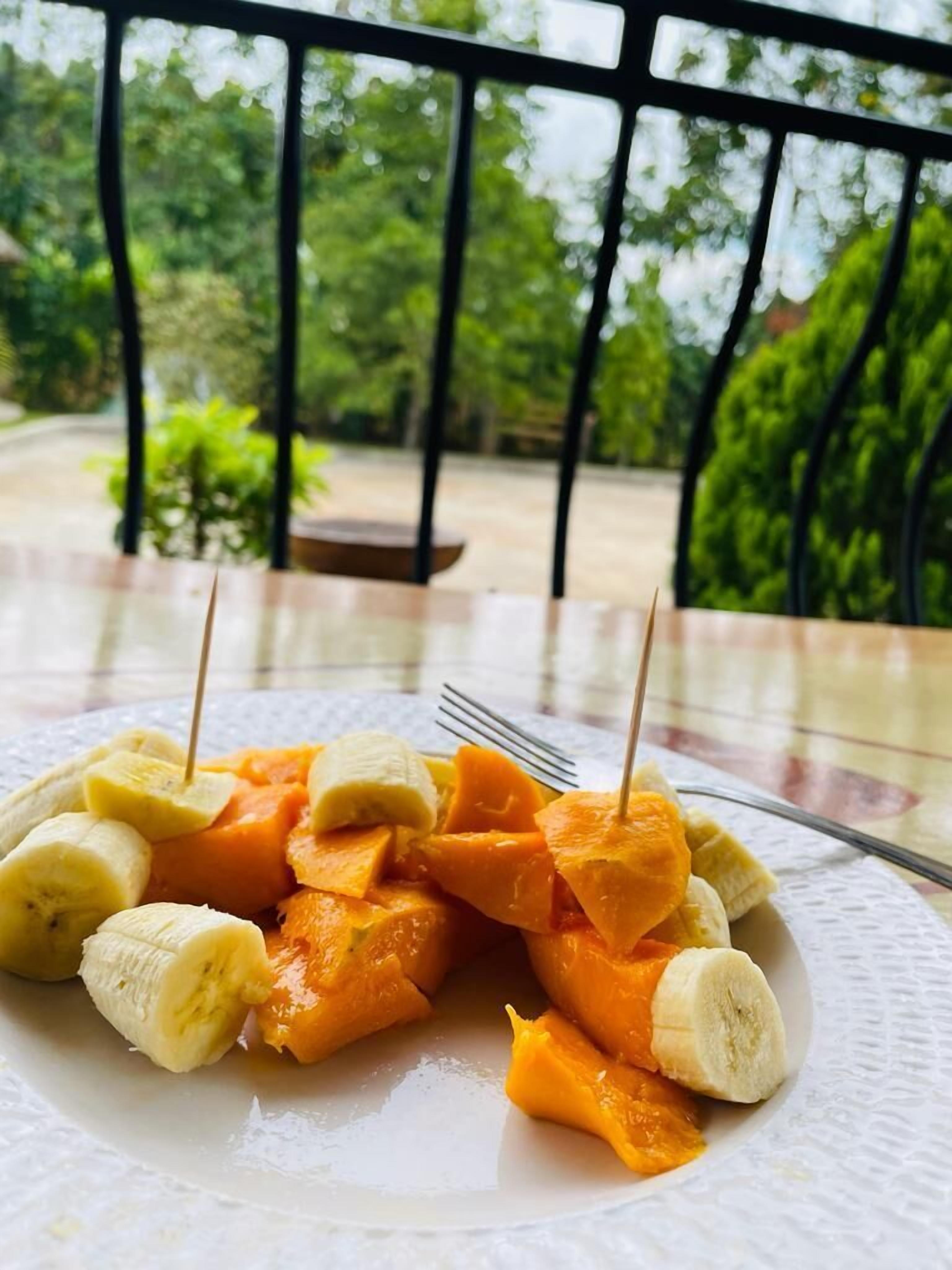 Foto - Plastic Bottles House