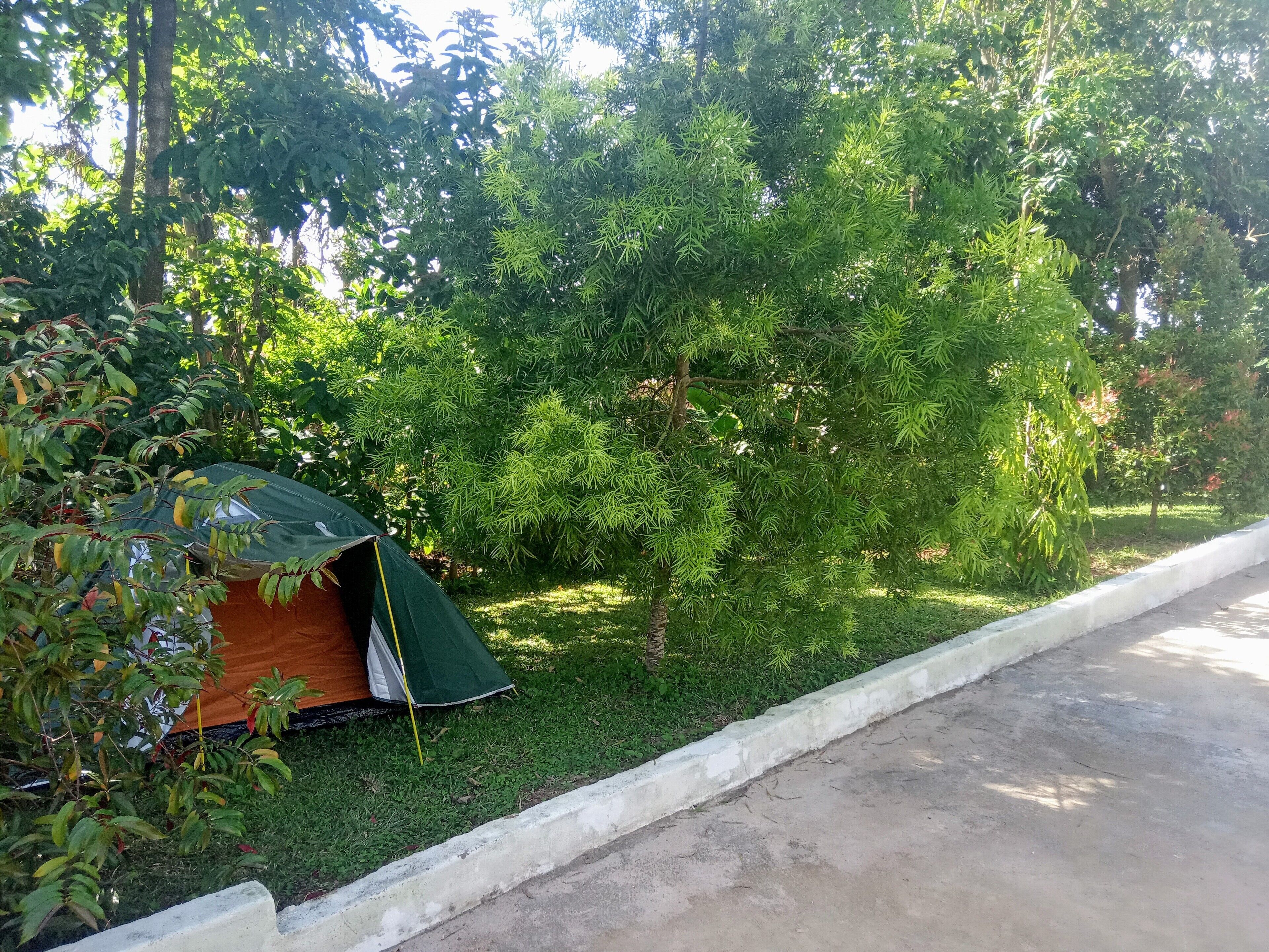 Foto - Plastic Bottles House