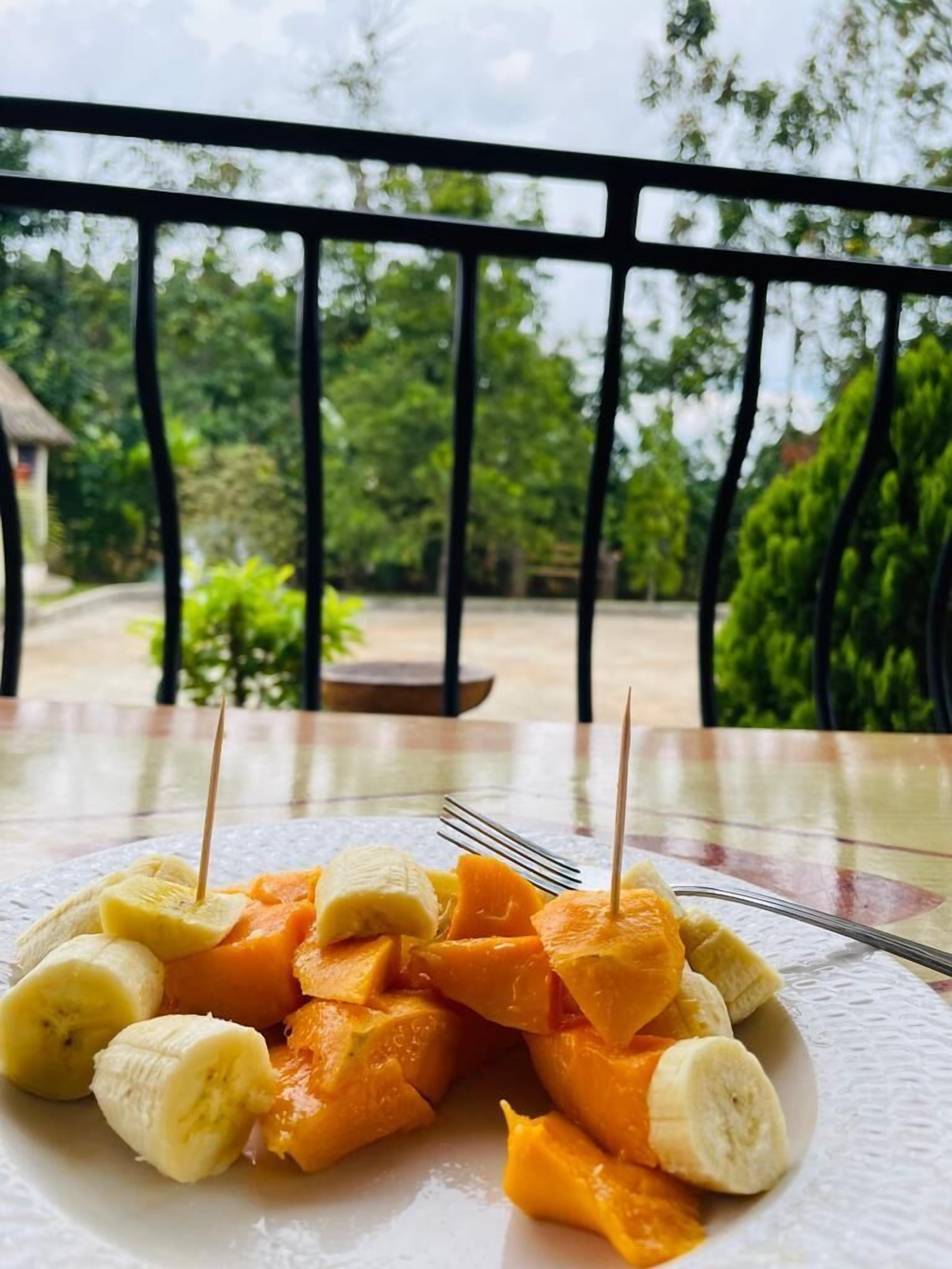 Foto - Plastic Bottles House