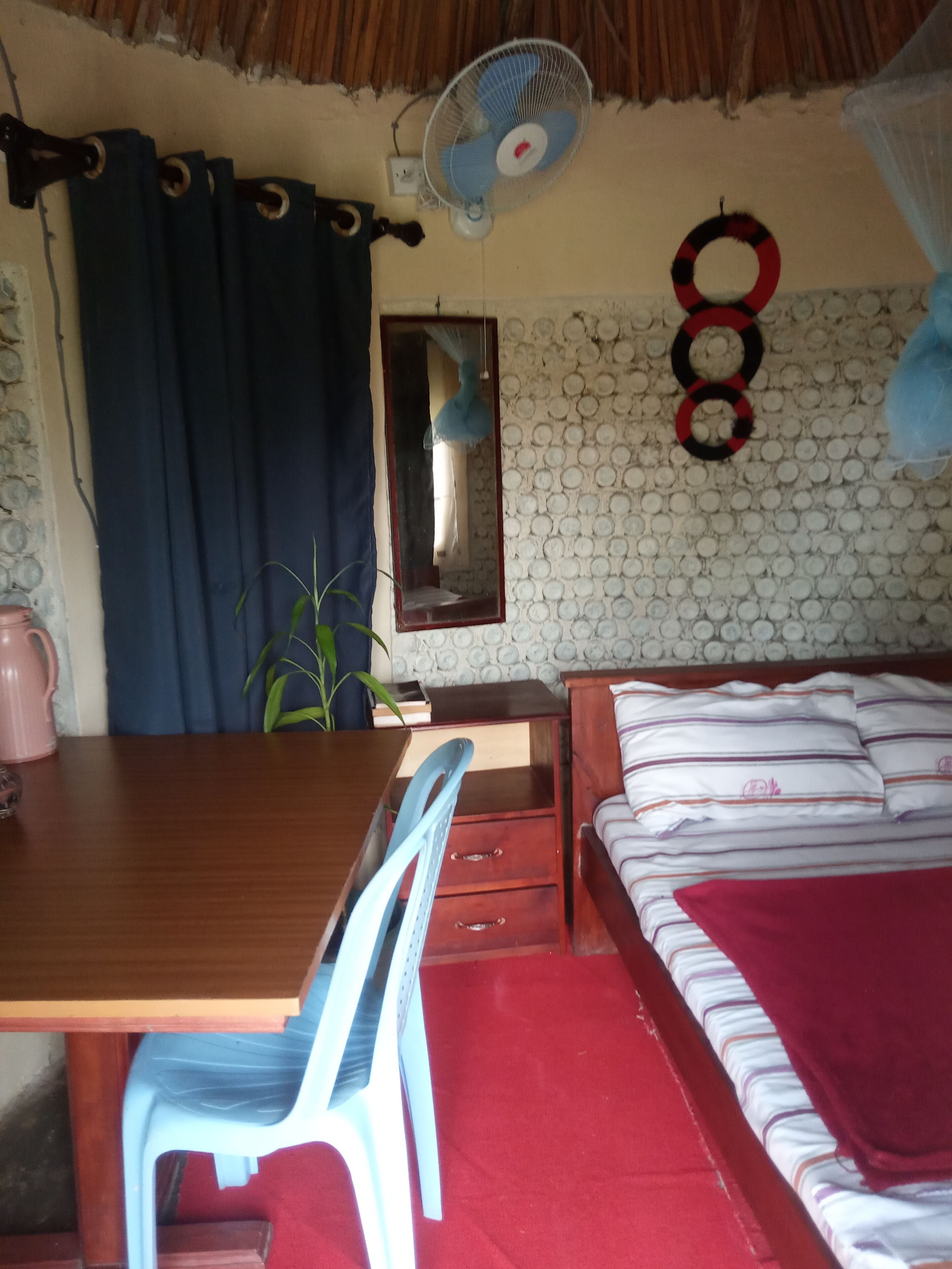 Foto - Plastic Bottles House