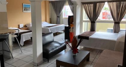 Hotel Paseo