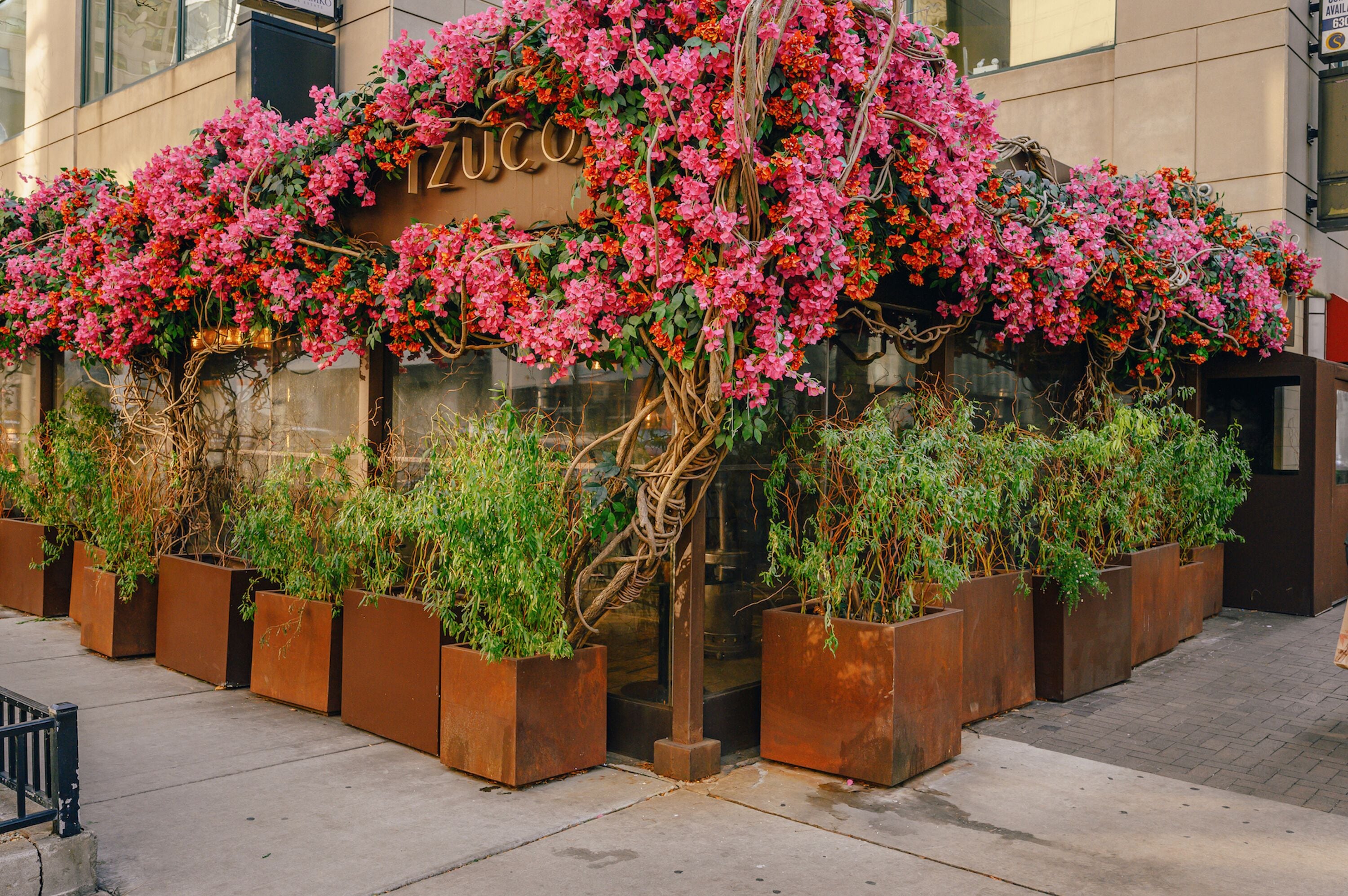 Vista frontal de la propiedad