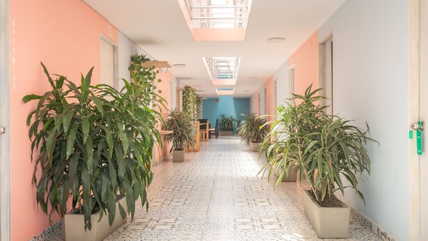 A hallway with tiled flooring, potted plants, and a blue wall in the distance. - Ayenda Malaki (Medellín)