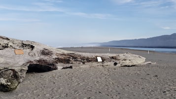 靠近海滩、沙滩毛巾