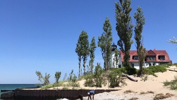 Une plage avec une maison et des arbres.