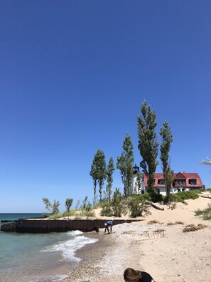 Une plage avec une maison et des arbres.